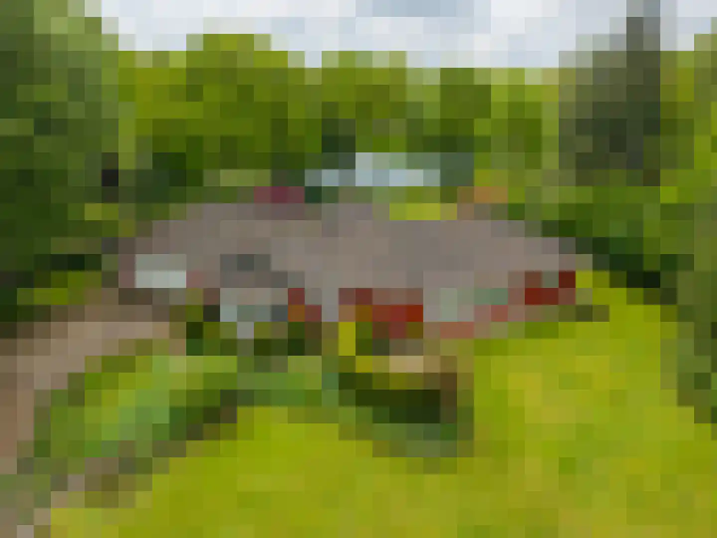 Zandlust 4 Tynaarlo thumbnail 74