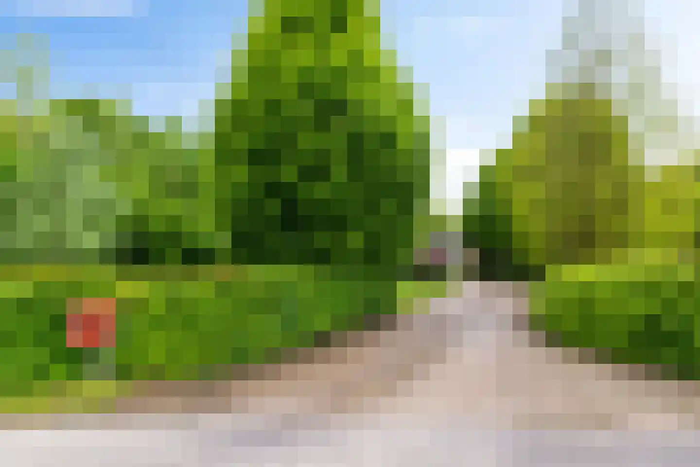 Zandlust 4 Tynaarlo thumbnail 8