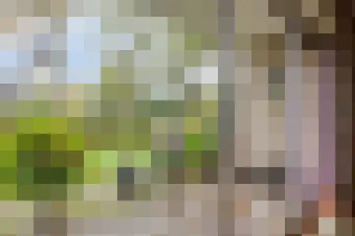 Zandmeer 4 Smilde thumbnail 13
