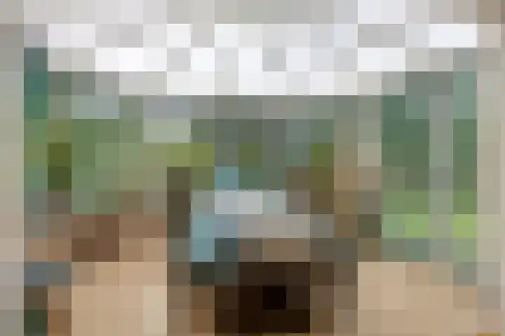 Zandmeer 4 Smilde thumbnail 15