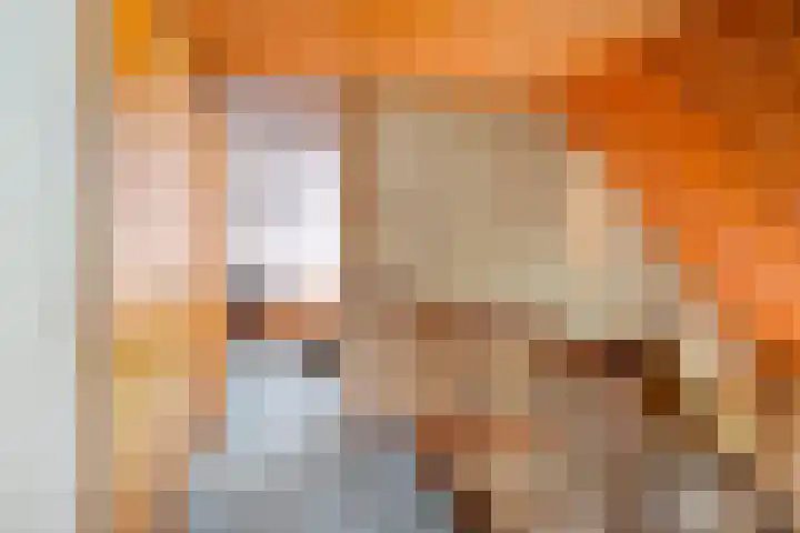 Zandmeer 4 Smilde thumbnail 25