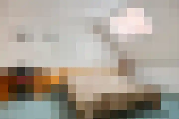 Zandmeer 4 Smilde thumbnail 31
