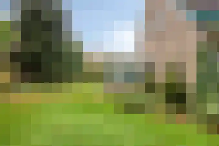 Zandmeer 4 Smilde thumbnail 35