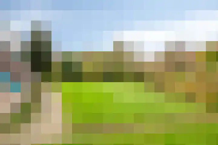 Zandmeer 4 Smilde thumbnail 36