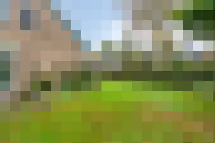 Zandmeer 4 Smilde thumbnail 38