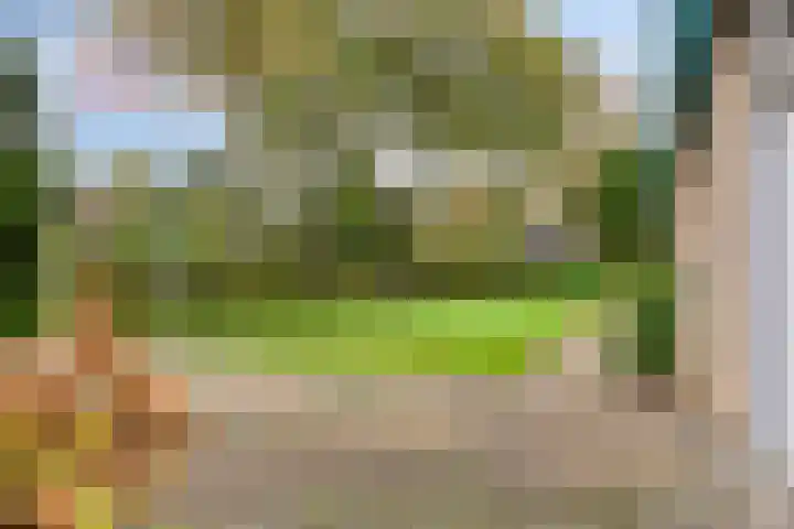 Zandmeer 4 Smilde thumbnail 4