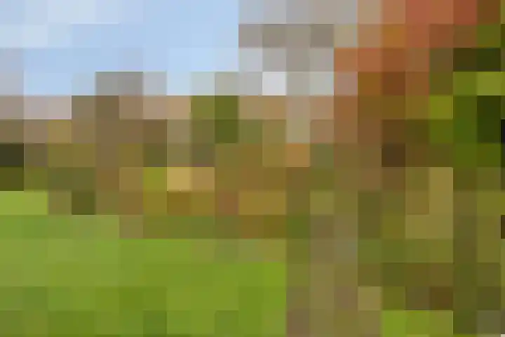 Zandmeer 4 Smilde thumbnail 40