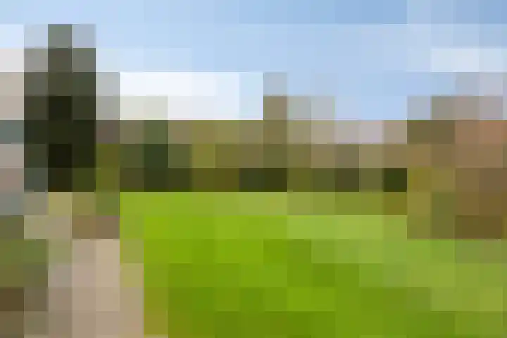 Zandmeer 4 Smilde thumbnail 41