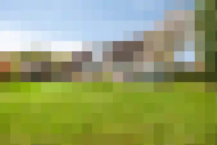 Zandmeer 4 Smilde thumbnail 42