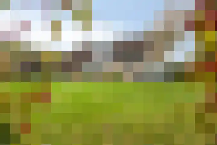 Zandmeer 4 Smilde thumbnail 43