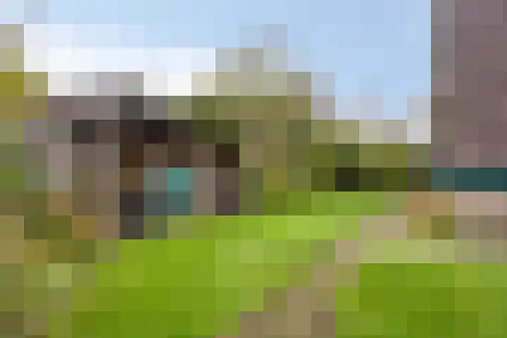Zandmeer 4 Smilde thumbnail 44