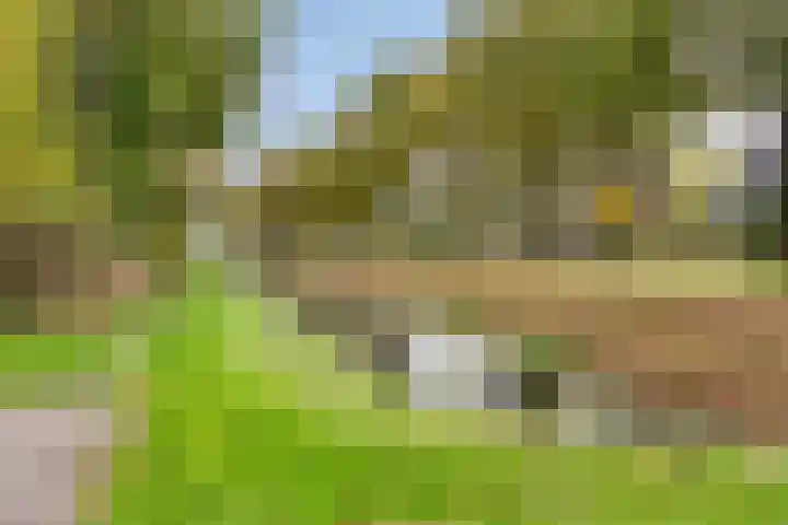 Zandmeer 4 Smilde thumbnail 45