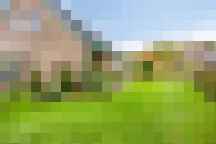 Zandmeer 4 Smilde thumbnail 6