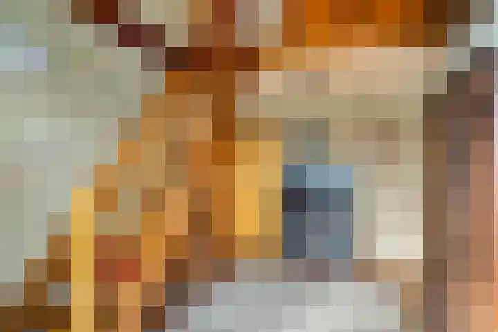 Zandmeer 4 Smilde thumbnail 8