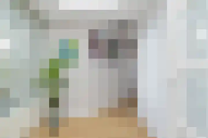 Zandoerle 6 Veldhoven thumbnail 16