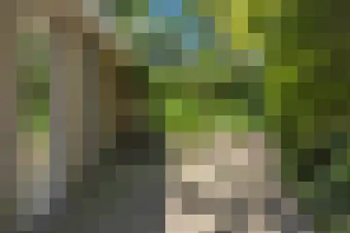 Zandoerle 6 Veldhoven thumbnail 47