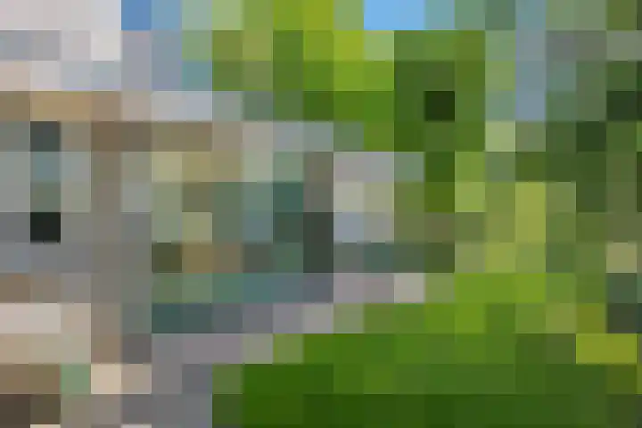 Zandoerle 6 Veldhoven thumbnail 48