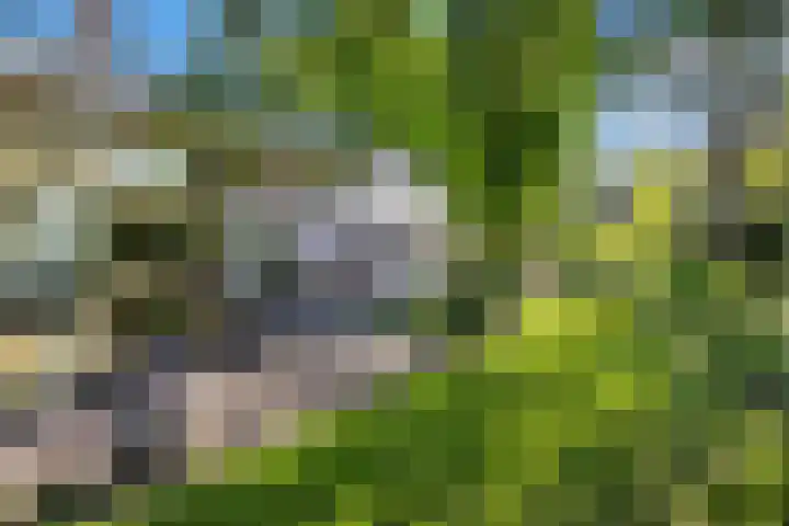 Zandoerle 6 Veldhoven thumbnail 49