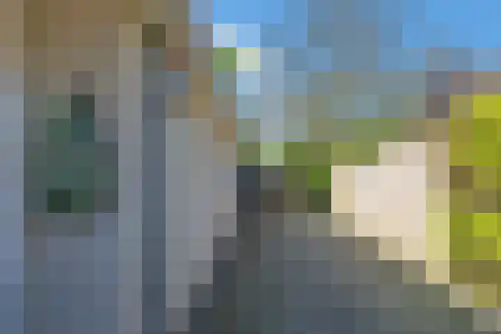 Zandoerle 6 Veldhoven thumbnail 54