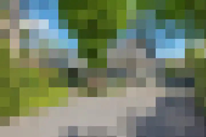 Zandoerle 6 Veldhoven thumbnail 58
