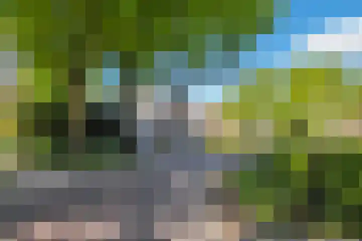 Zandoerle 6 Veldhoven thumbnail 59