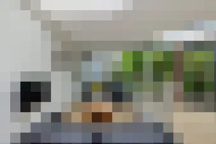 Zandoerle 6 Veldhoven thumbnail 7