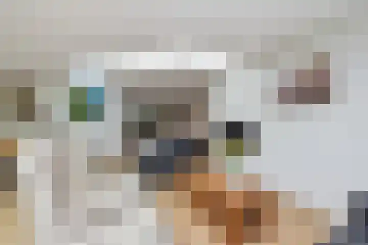 Zandoerle 6 Veldhoven thumbnail 8