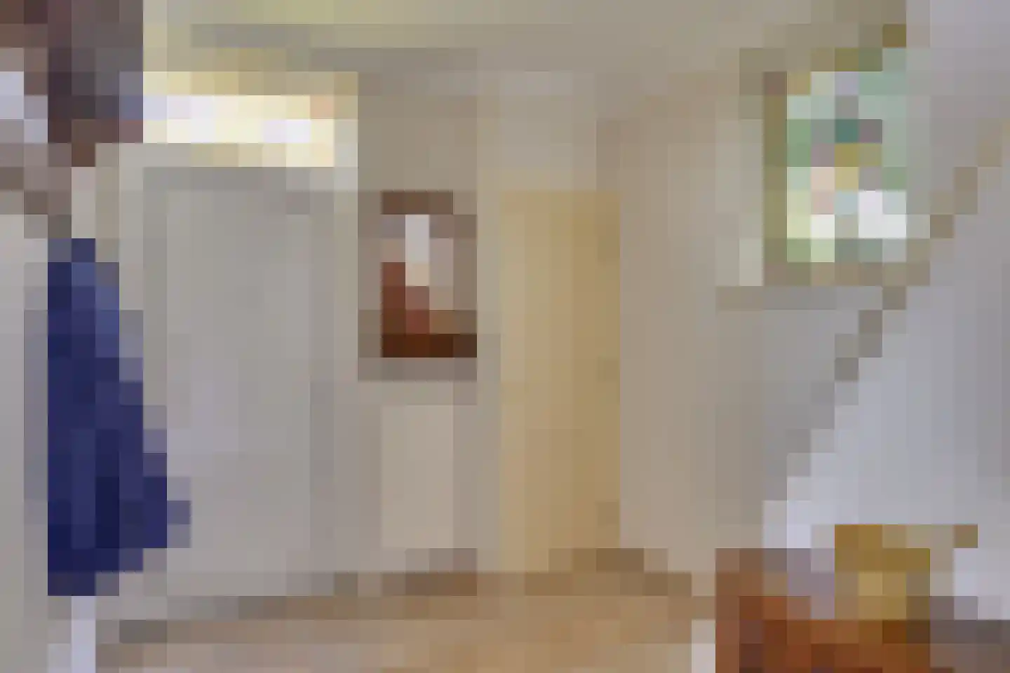 Zandoerleseweg 23 Veldhoven thumbnail 14