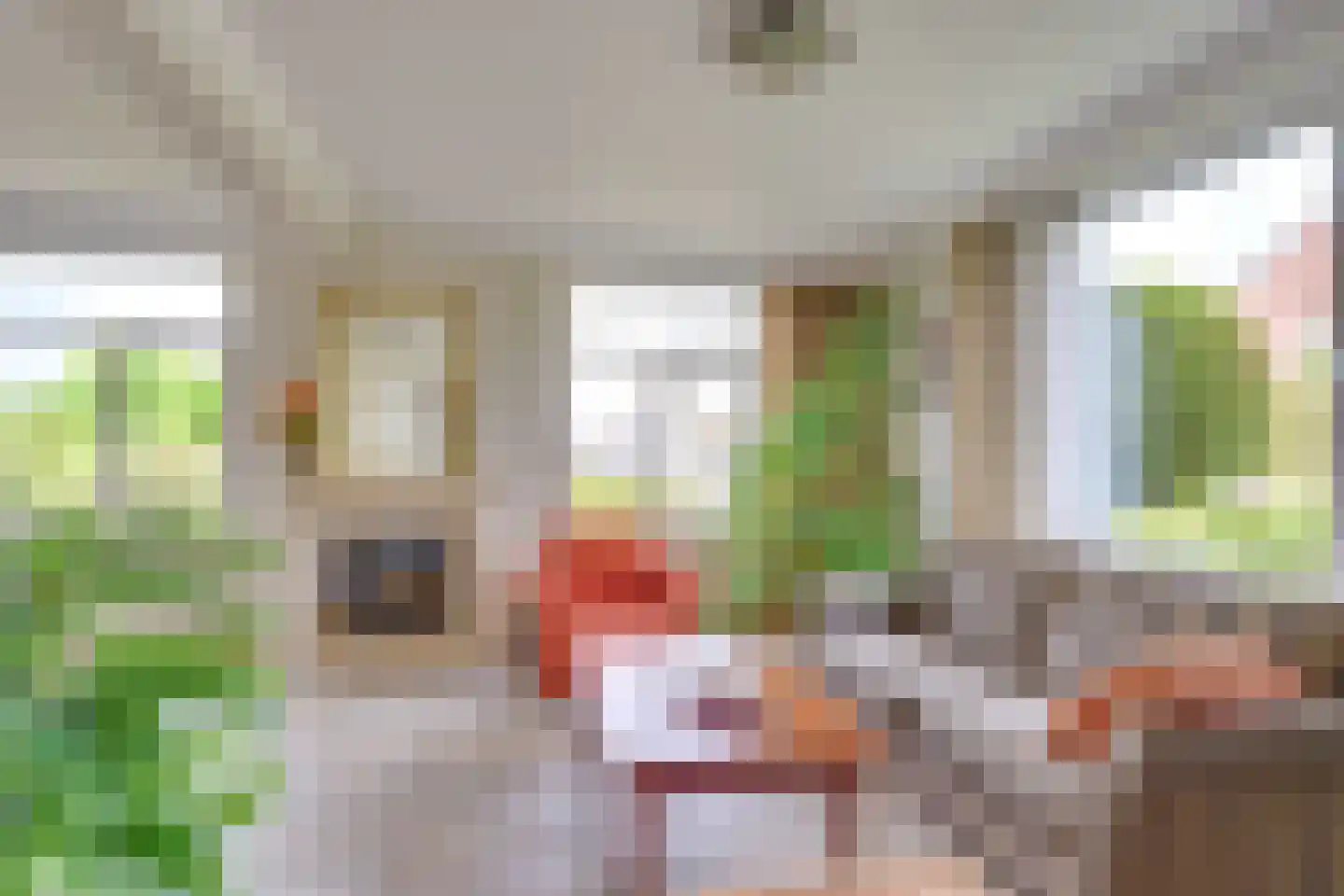 Zandoerleseweg 23 Veldhoven thumbnail 15