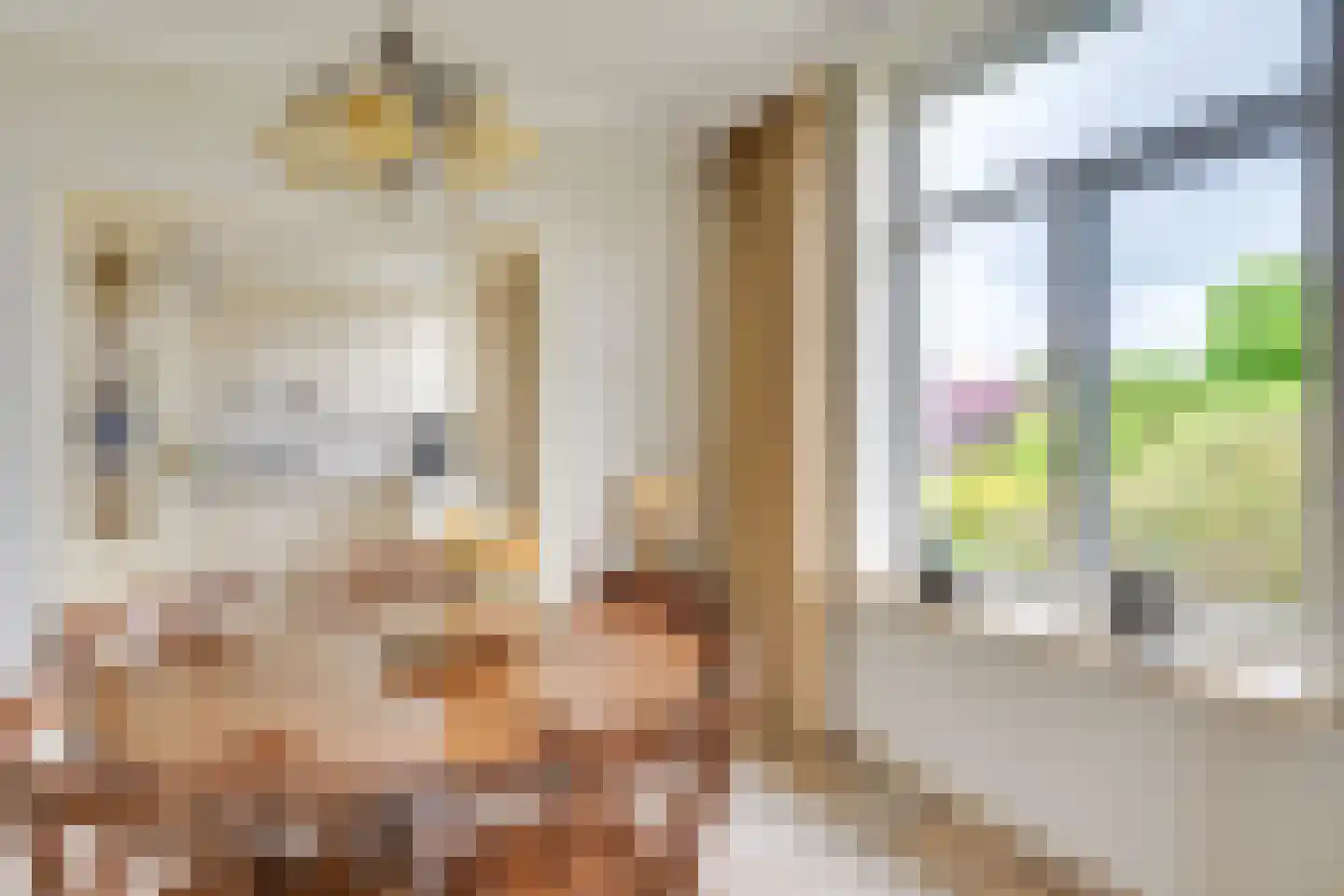 Zandoerleseweg 23 Veldhoven thumbnail 19