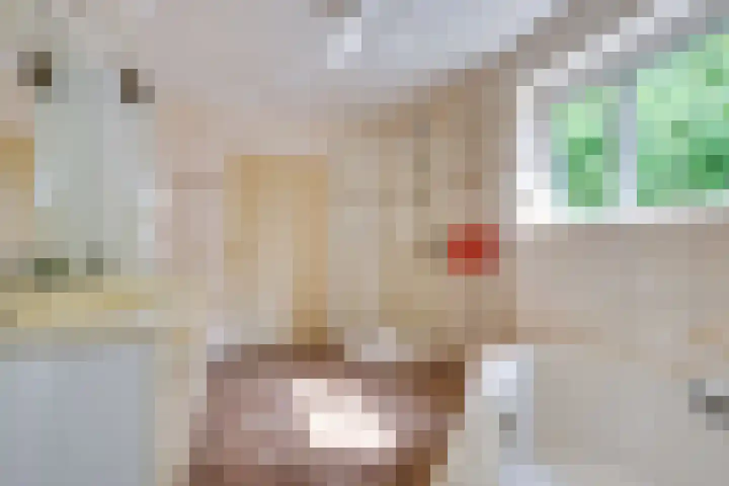 Zandoerleseweg 23 Veldhoven thumbnail 28