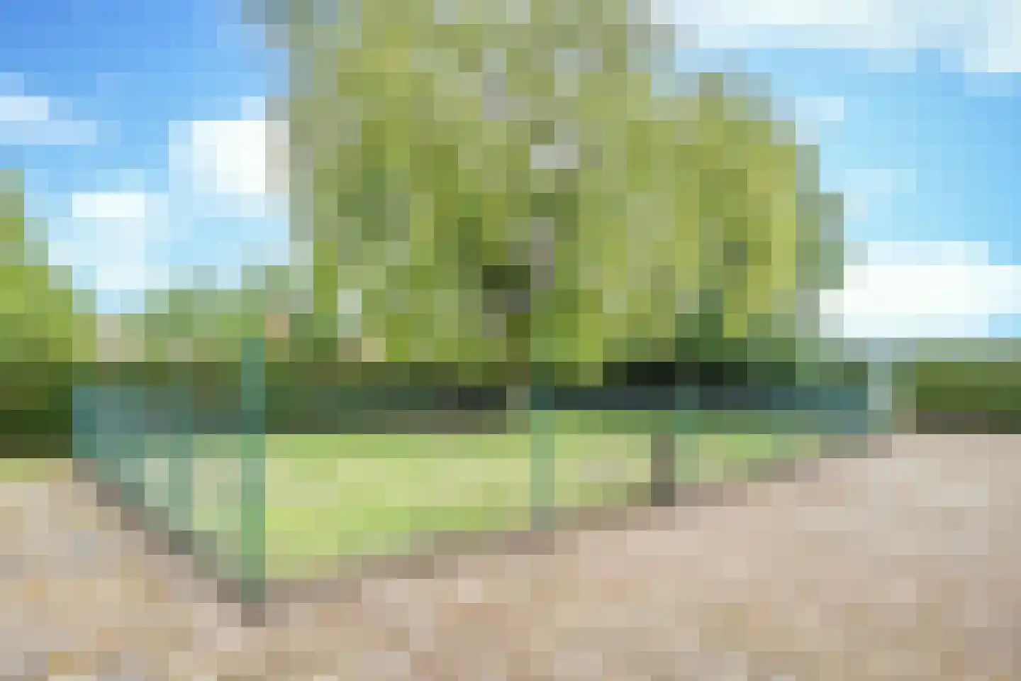 Zandoerleseweg 23 Veldhoven thumbnail 60