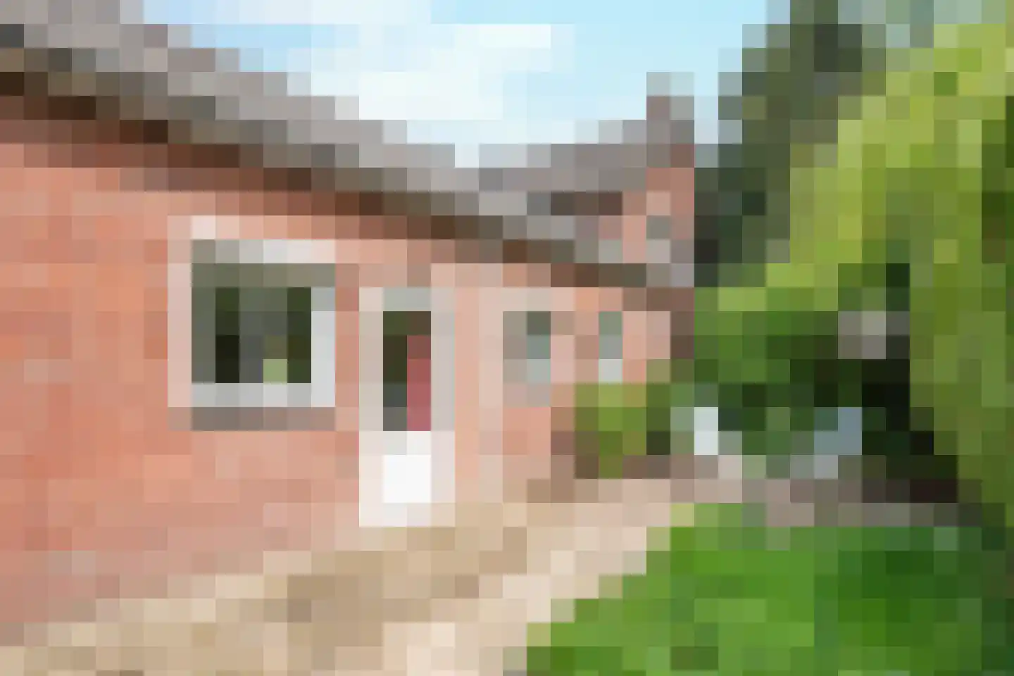 Zandoerleseweg 23 Veldhoven thumbnail 61