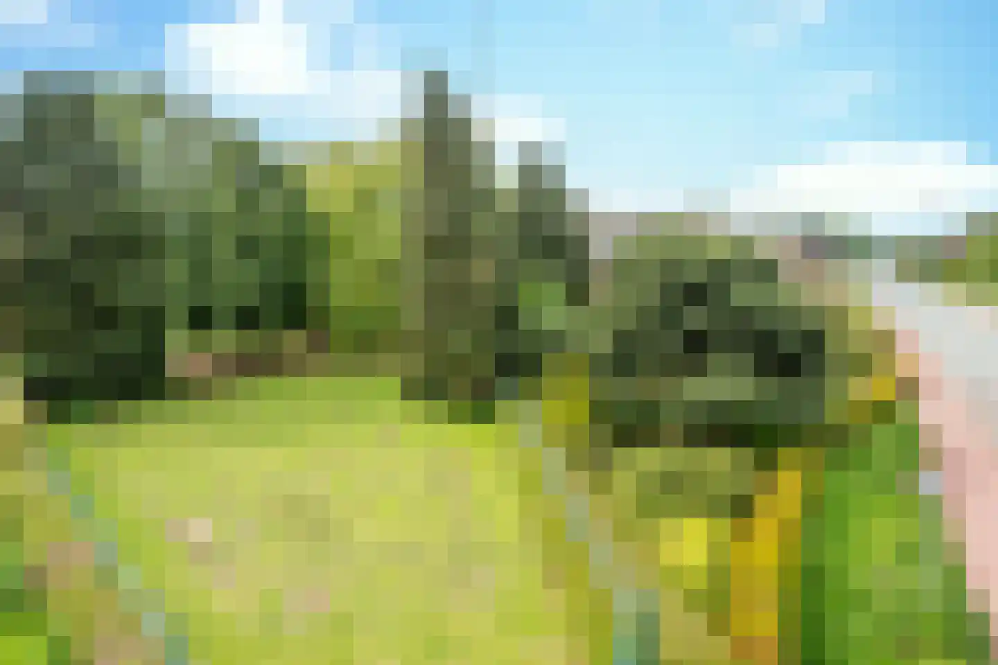Zandoerleseweg 23 Veldhoven thumbnail 62