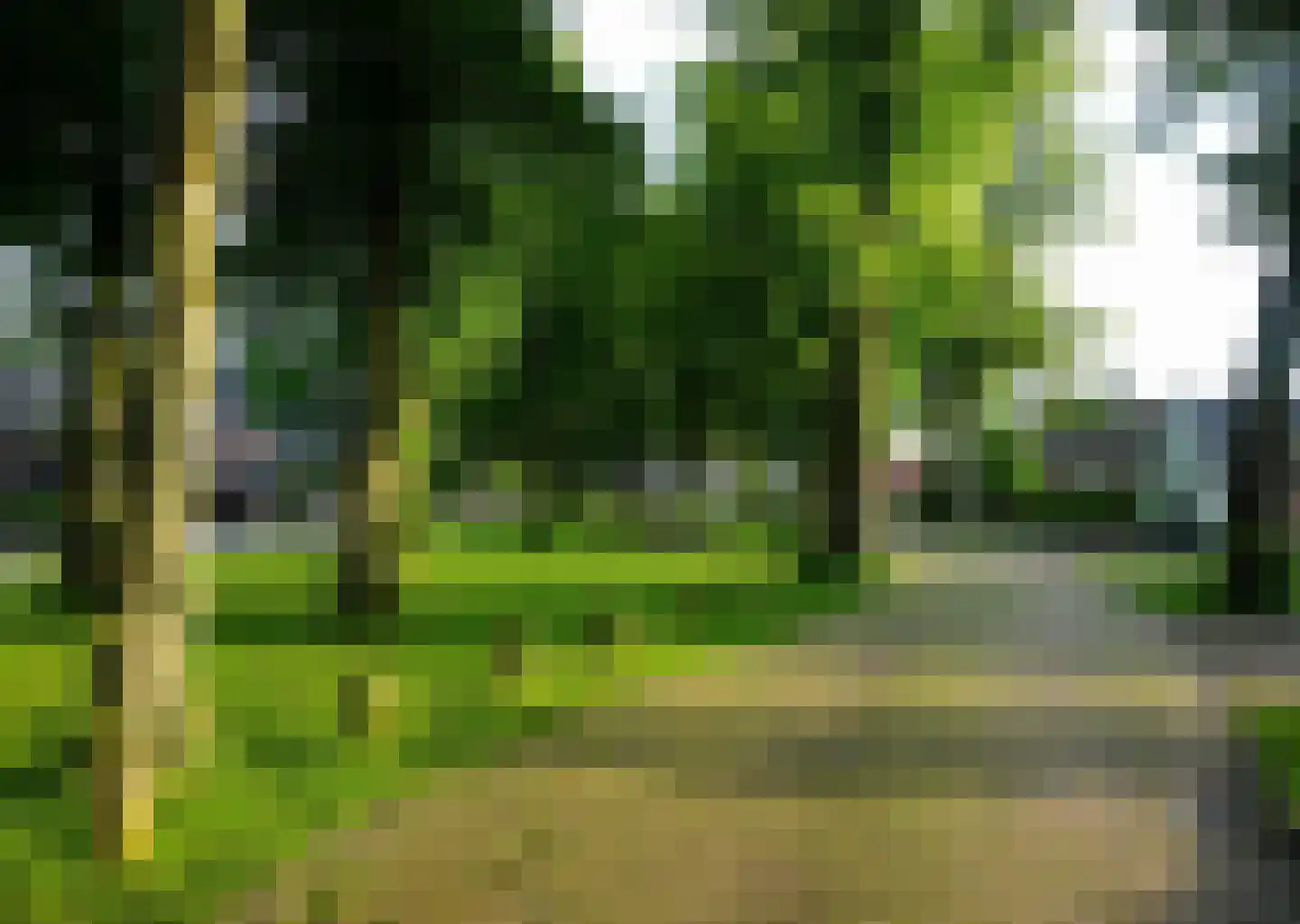 Zandoerleseweg 23 Veldhoven thumbnail 69