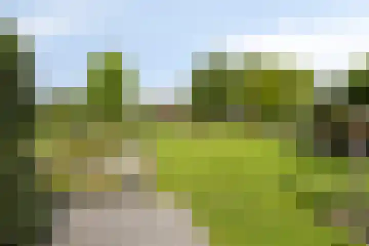 Zandoerleseweg 50 Veldhoven thumbnail 33