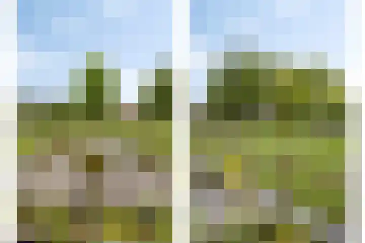 Zandoerleseweg 50 Veldhoven thumbnail 34