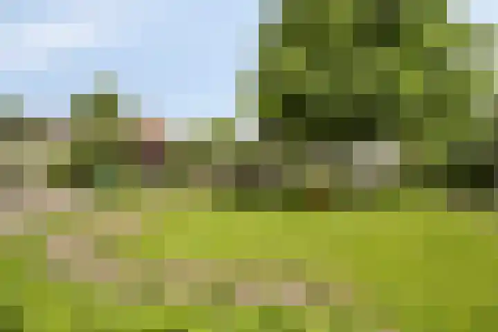 Zandoerleseweg 50 Veldhoven thumbnail 35