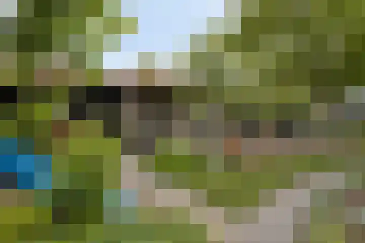 Zandoerleseweg 50 Veldhoven thumbnail 36