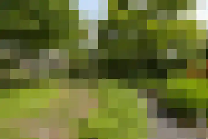 Zandoerleseweg 50 Veldhoven thumbnail 37