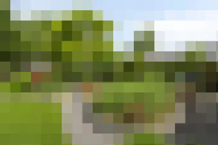 Zandoerleseweg 50 Veldhoven thumbnail 38