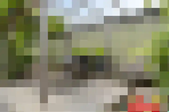 Zandoerleseweg 50 Veldhoven thumbnail 39