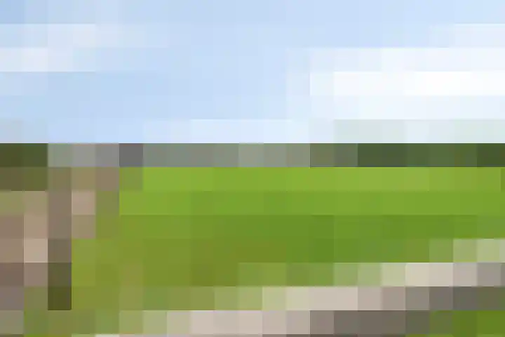 Zandoerleseweg 50 Veldhoven thumbnail 44
