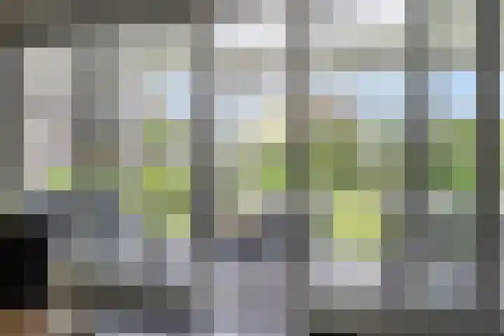 Zandoerleseweg 52 Veldhoven thumbnail 31