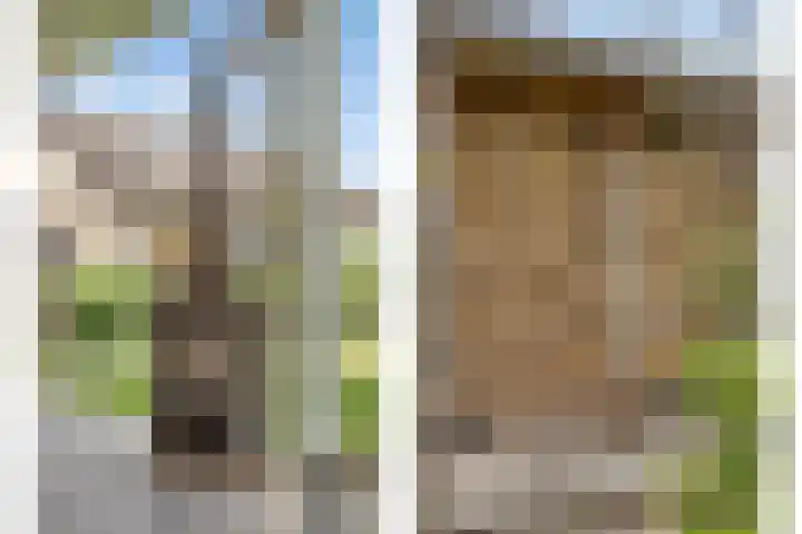 Zandoerleseweg 52 Veldhoven thumbnail 34