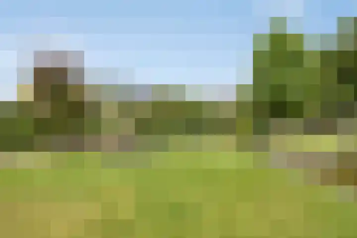 Zandoerleseweg 52 Veldhoven thumbnail 36