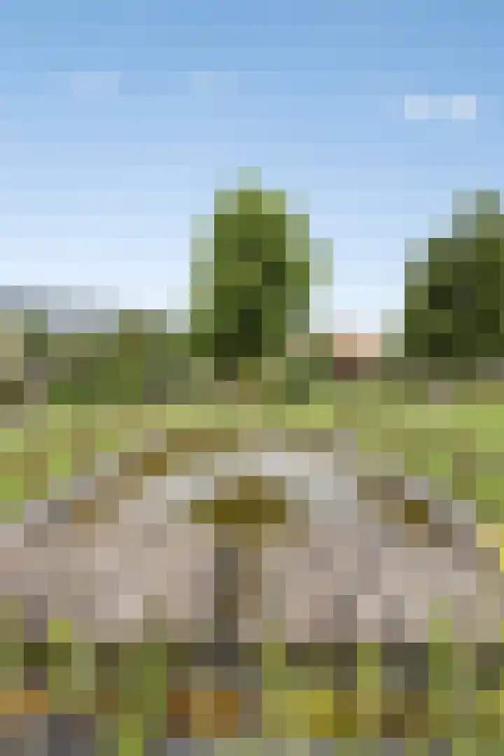 Zandoerleseweg 52 Veldhoven thumbnail 37