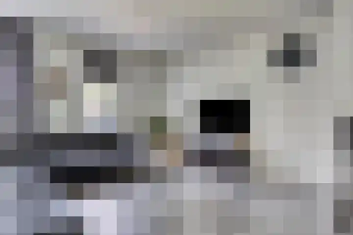 Zandoerleseweg 52 Veldhoven thumbnail 4