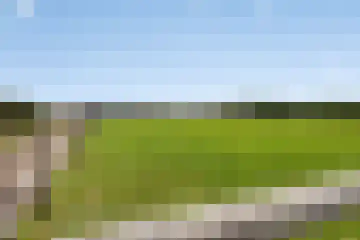 Zandoerleseweg 52 Veldhoven thumbnail 45