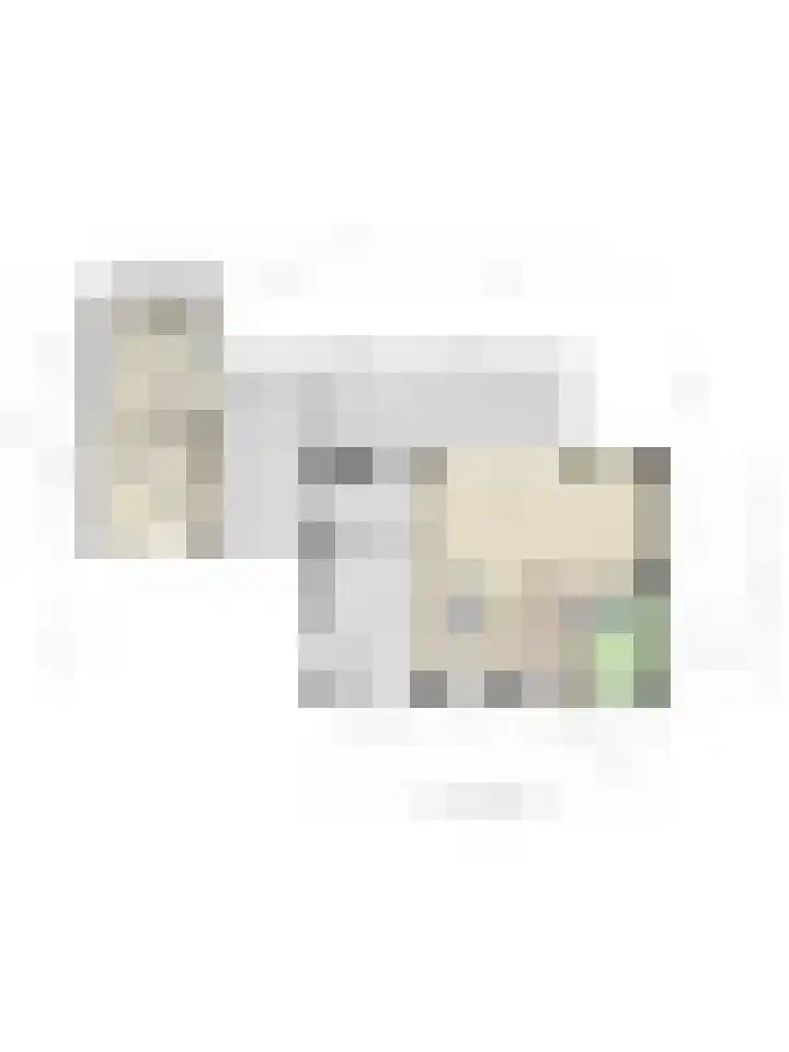 Zandoerleseweg 52 Veldhoven thumbnail 47